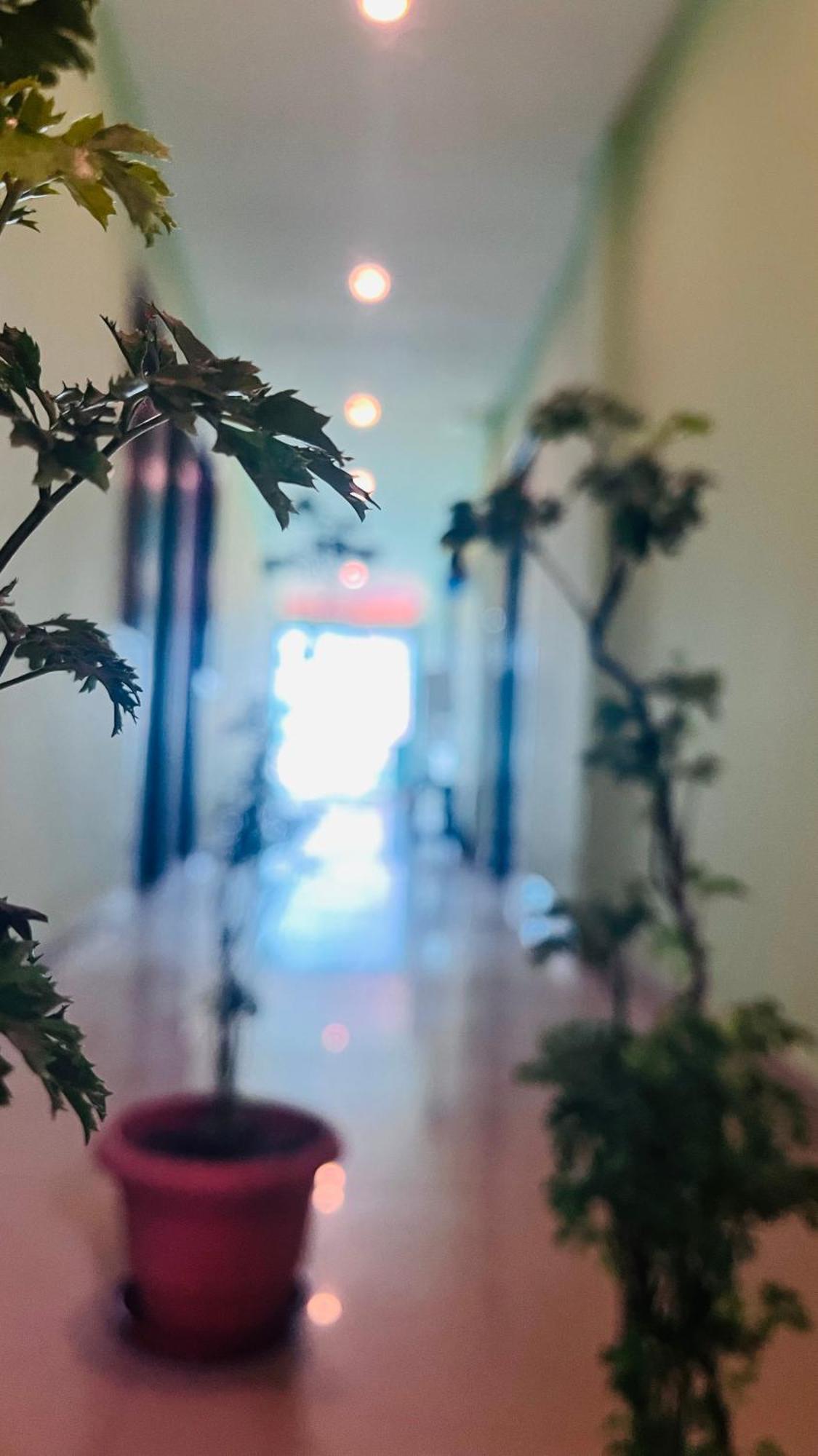 Skyway Rooms 蓬蒂切里 外观 照片