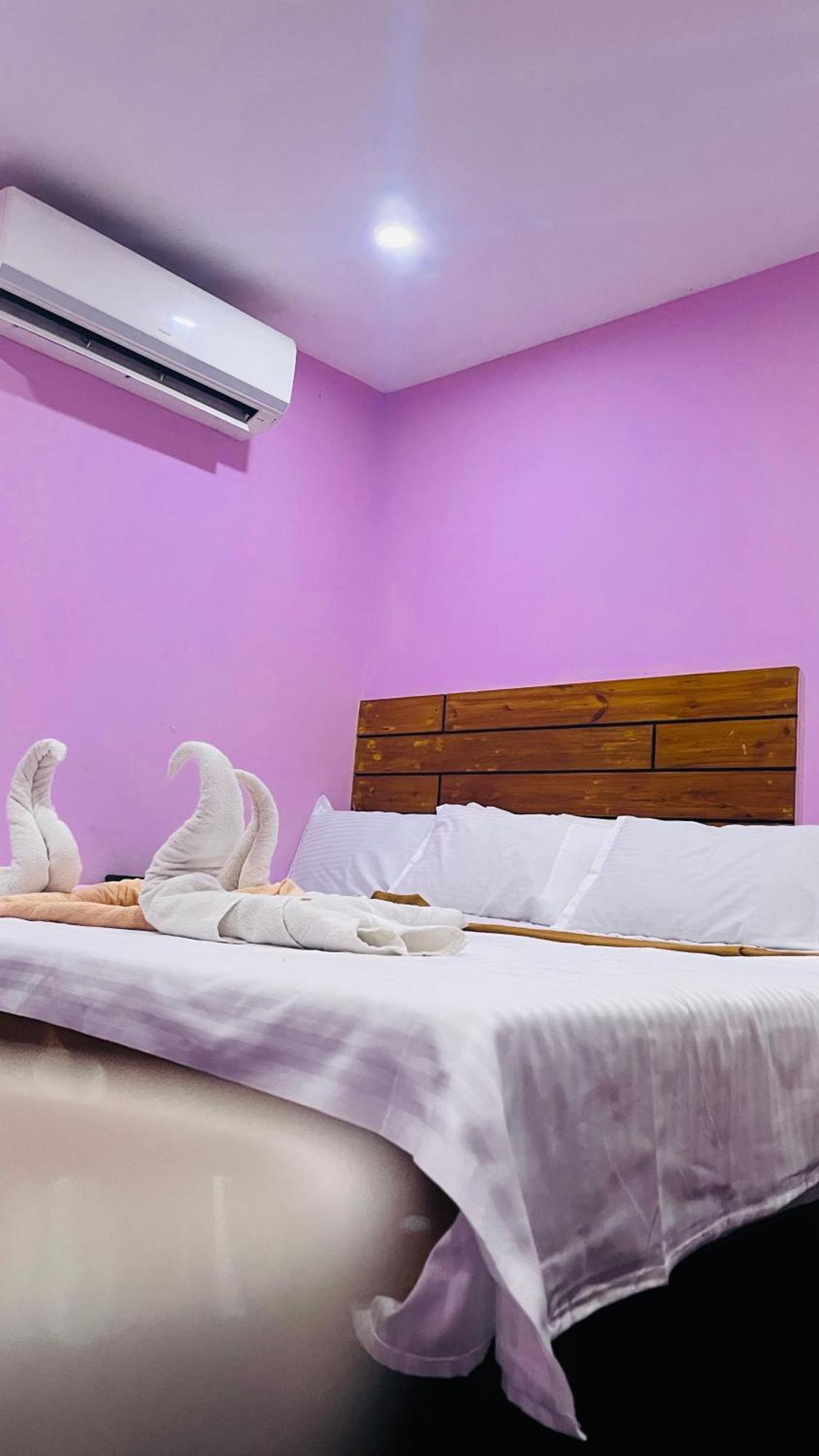 Skyway Rooms 蓬蒂切里 外观 照片